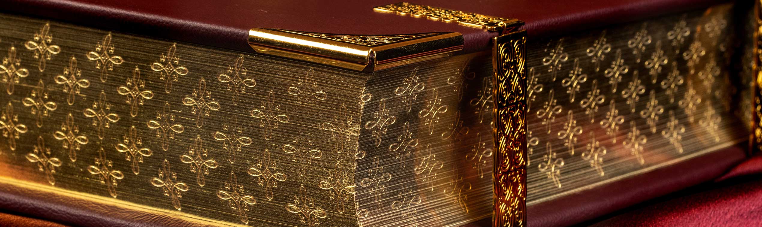 DOMI Exclusiv Kontakt