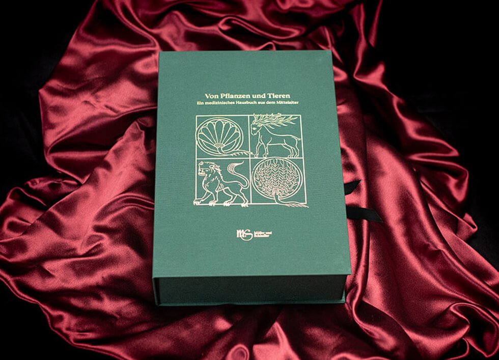 About plants and animals